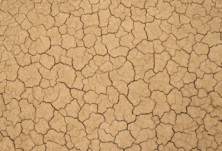 soil, cracks, clay-5342049.jpg